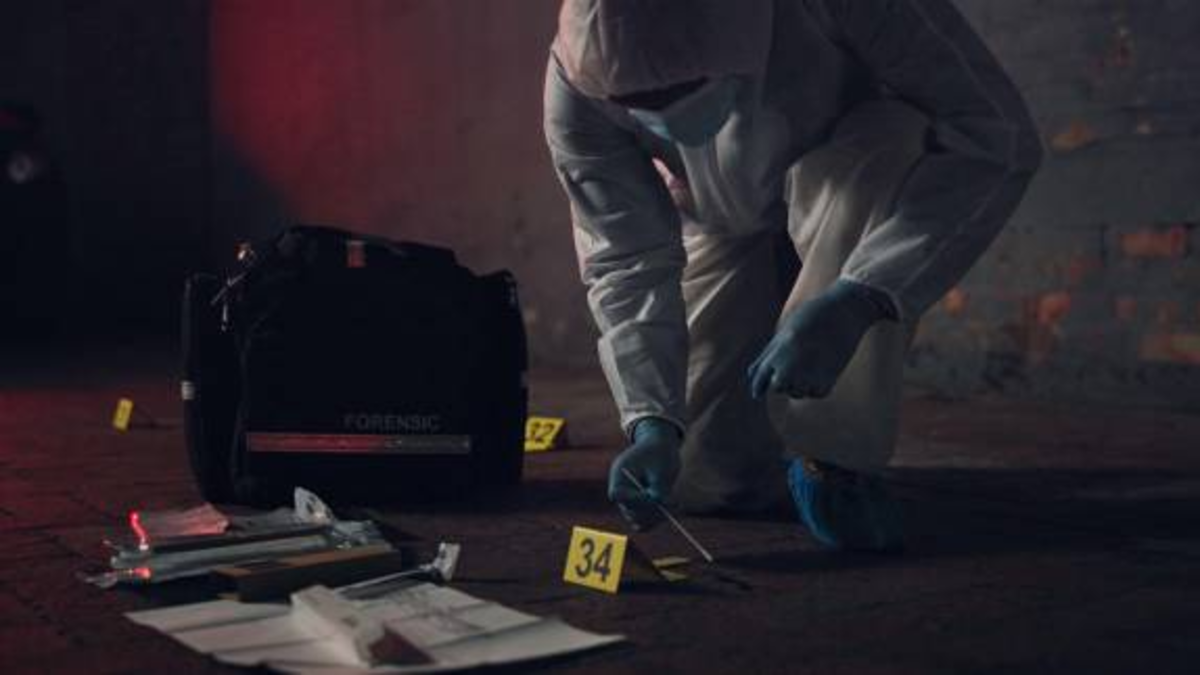 Un adulto mayor sería el responsable de asesinar a su pareja sentimental en un hotel de Medellín; el hombre intentó suicidarse

 – En la mira