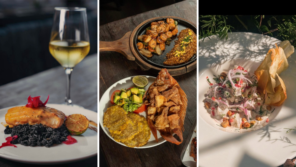 un nuevo establecimiento gastronómico y cultural que pretende atraer turismo y ampliar la oferta en Cartagena

 – En la mira