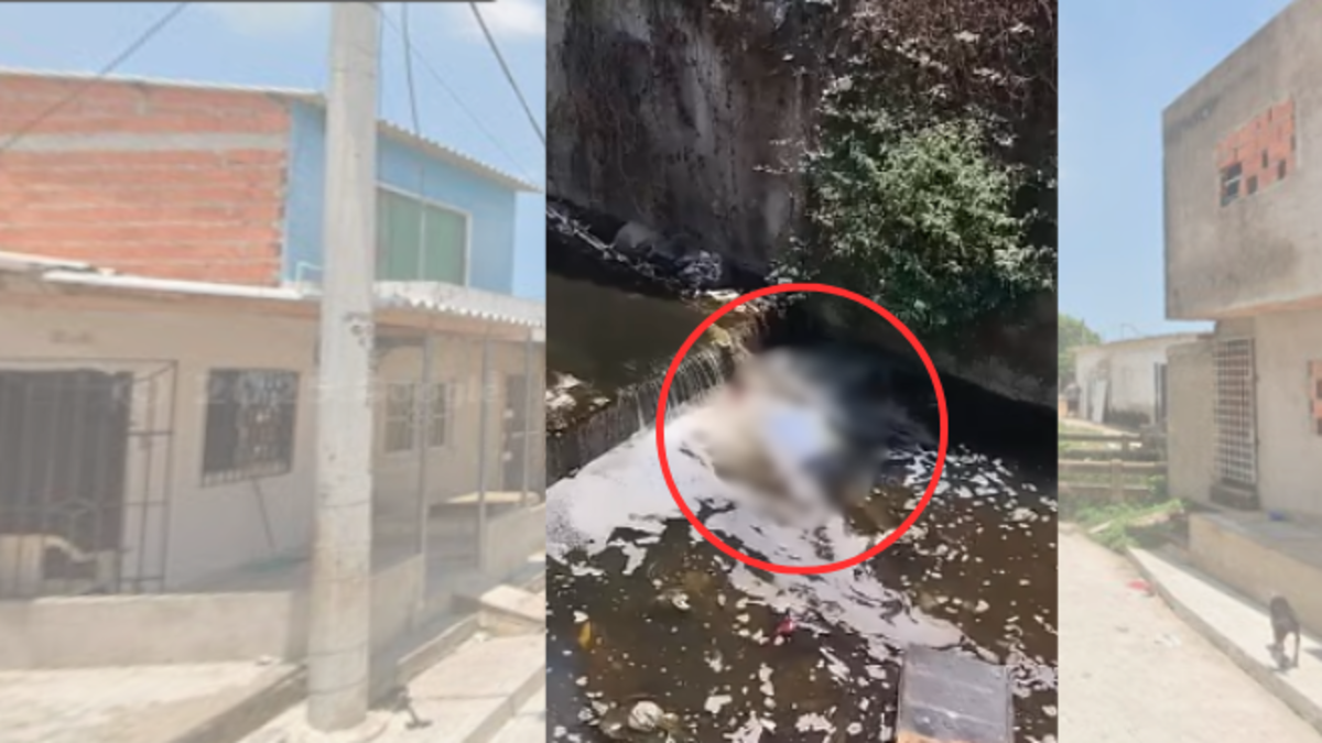 Se conoce conmoción tras hallazgo de cuerpo flotando en un arroyo entre La Pradera y Los Olivos

 – En la mira