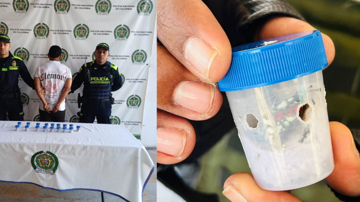 ¿Qué hay detrás de su comercio ilegal?

 – En la mira