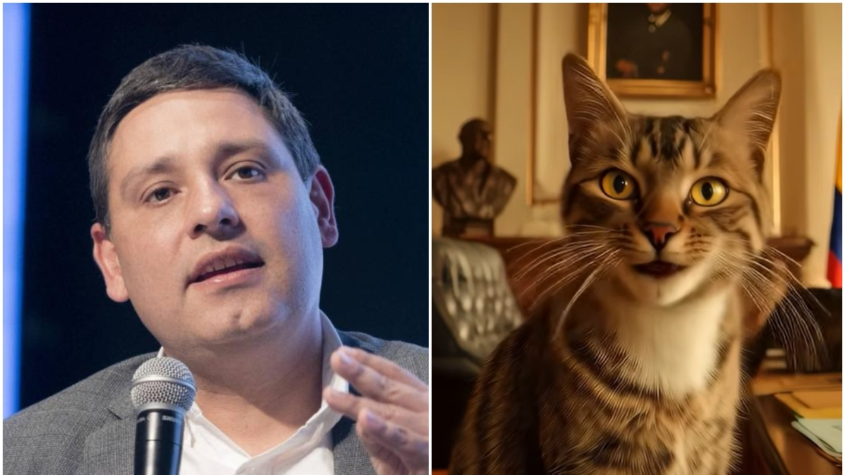 “El gatito tiene hasta un 300% más de alcance que el odio”

 – En la mira