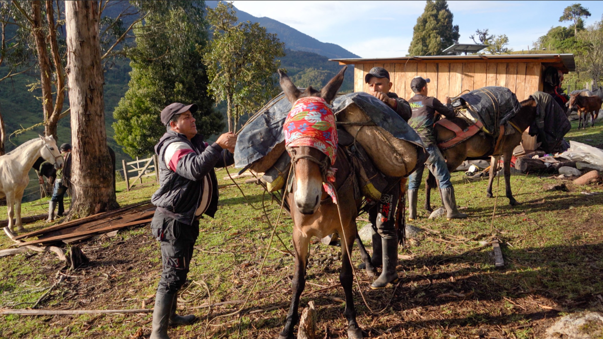 Campesinos de Uribe (Meta) construyen una carretera con fondos propios y piden ayuda para terminarla

 – En la mira