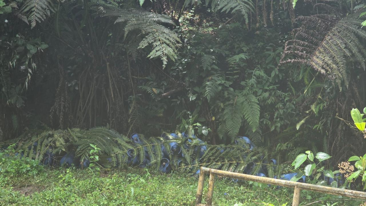 El operativo en La Moralia frena posibles ataques terroristas de la disidencia

 – En la mira