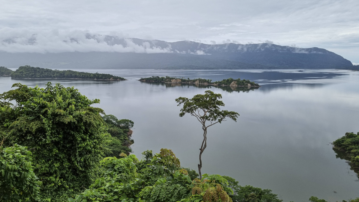 Fueron más de 15 horas de miedo y oscuridad, y el barco se quedó sin combustible.

 – En la mira