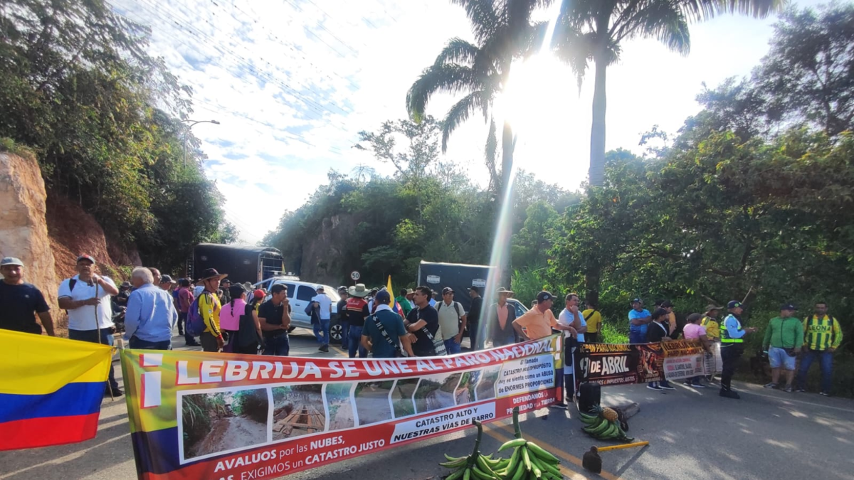 bloqueos hacia los aeropuertos de Bogotá y Palonegro; así son las carreteras

 – En la mira